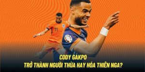 cody-gakpo