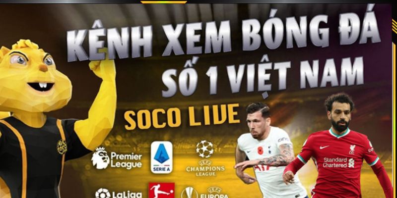 Lý do nên theo dõi kết quả bóng đá tại Socolive