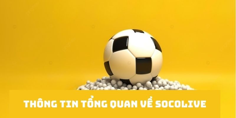 Thông tin tổng quan về trang trực tiếp bóng đá đỉnh cao Socolive